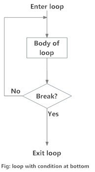 Looping Technique: Loop with condition at the top