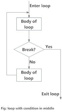 Looping Technique: Loop with condition in the Middle